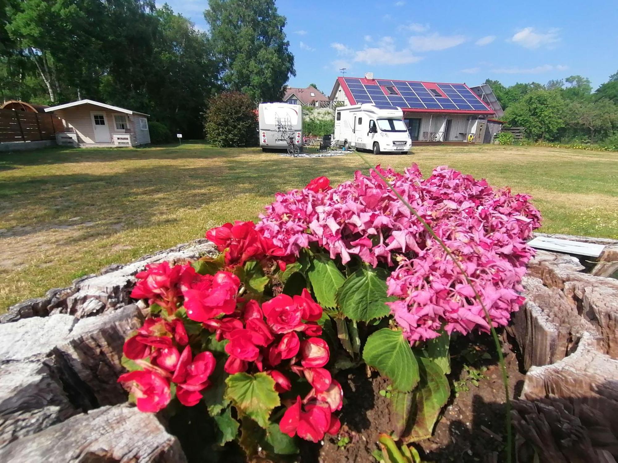 Piibelehe Guest Accommodation Куресааре Екстериор снимка