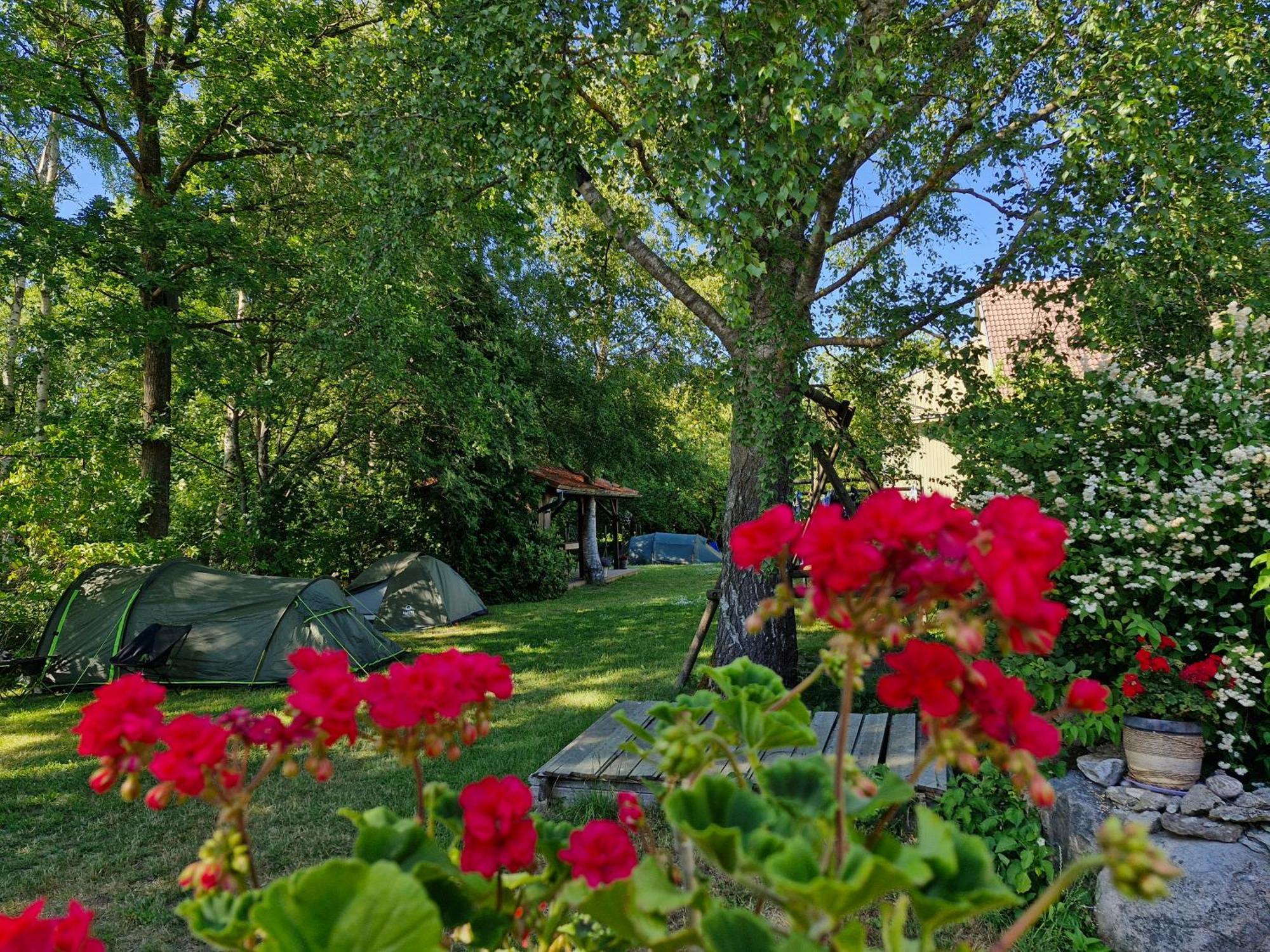 Piibelehe Guest Accommodation Куресааре Екстериор снимка