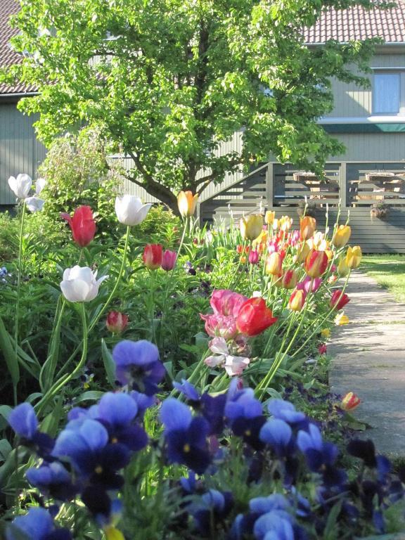 Piibelehe Guest Accommodation Куресааре Екстериор снимка